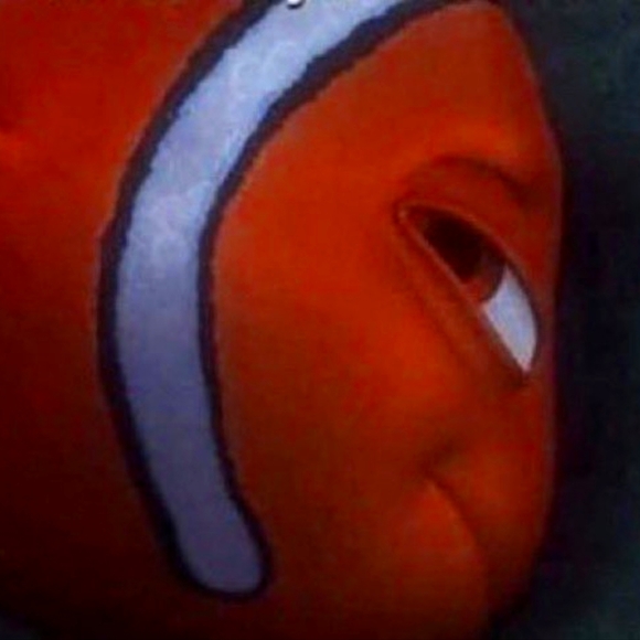 Clothes - Picture 1 of 1